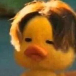 Meet your Posher, Ava